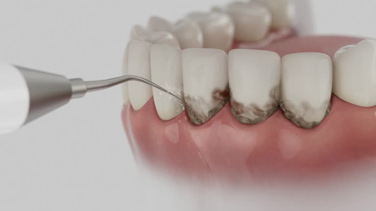 Reliable Dental contractor in Walthourville, GA by Dentist Open Now